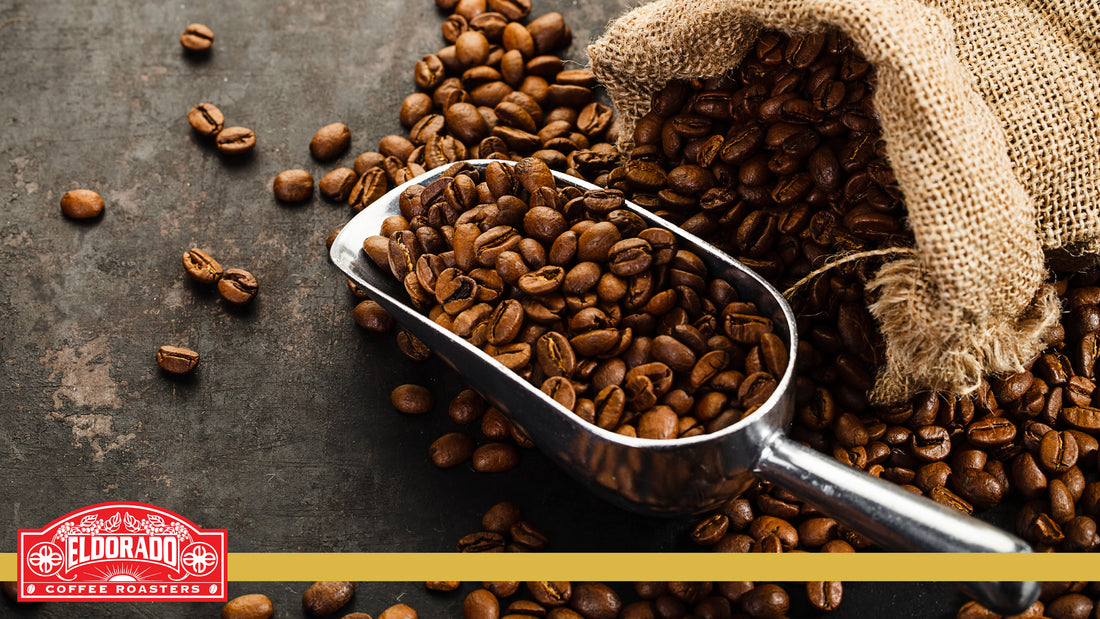 Ground vs Whole Bean Coffee: What’s The Difference?