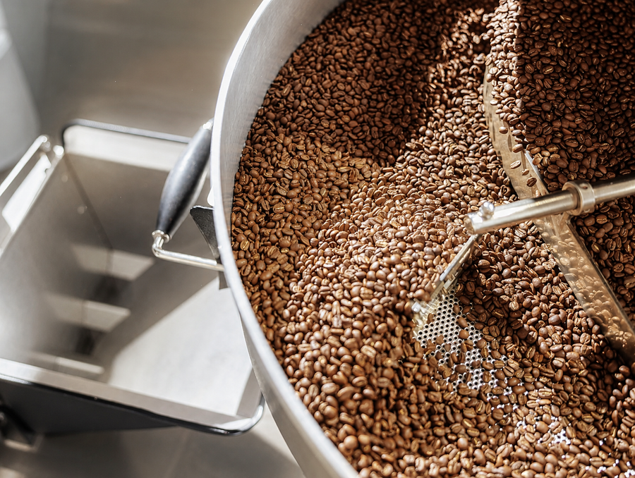 Fresh roasted coffee beans in a scoop
